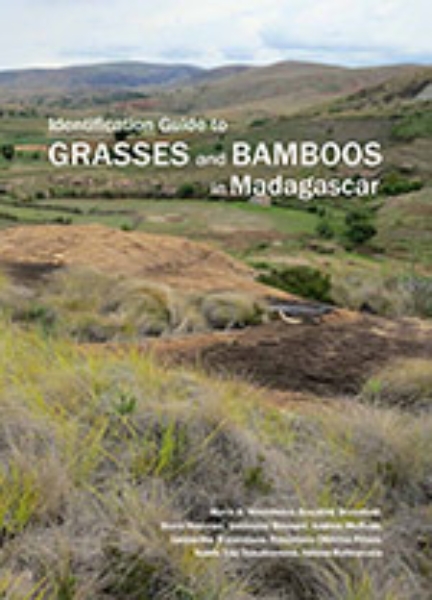 Identification Guide to Grasses and Bamboos in Madagascar