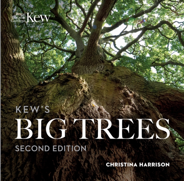 Kew’s Big Trees