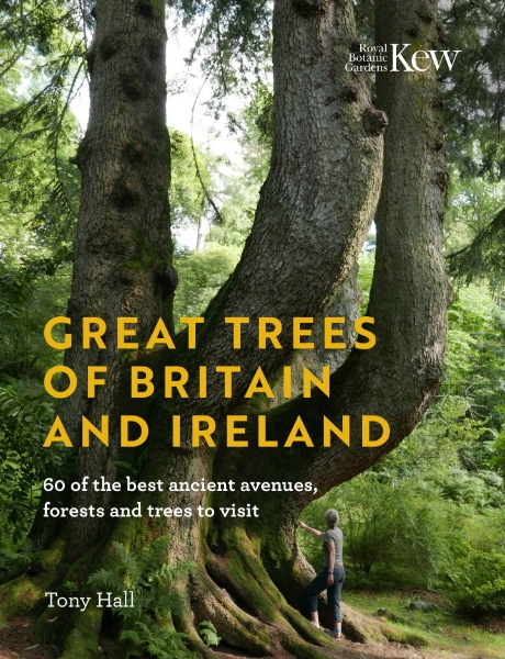 Great Trees of Britain and Ireland: 60 of the Best Ancient Avenues, Forests and Trees to Visit