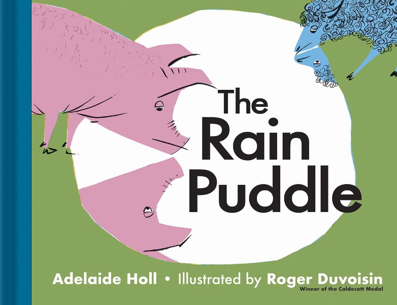 The Rain Puddle