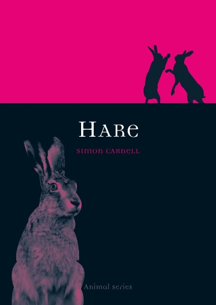 Book cover with a pink hare.