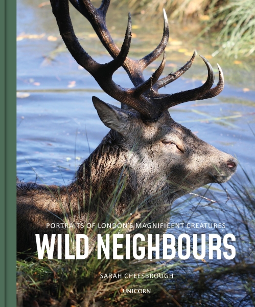 Wild Neighbours: Portraits of London’s Magnificent Creatures