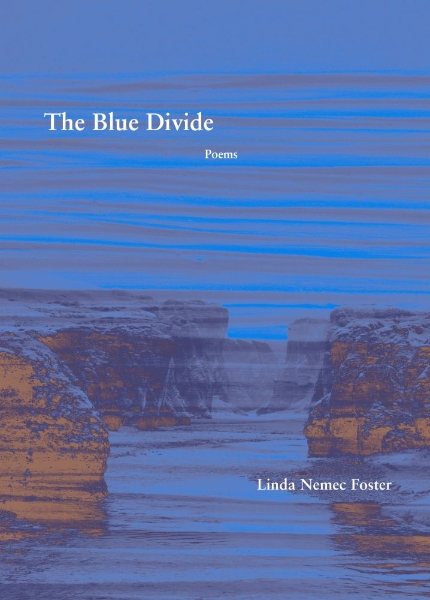 The Blue Divide: Poems
