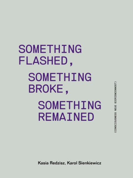 Something Flashed, Something Broke, Something Remained: Consciousness Neue Bieriemiennost