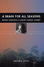 A Brain for All Seasons: Human Evolution and Abrupt Climate Change