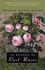 In Search of Lost Roses