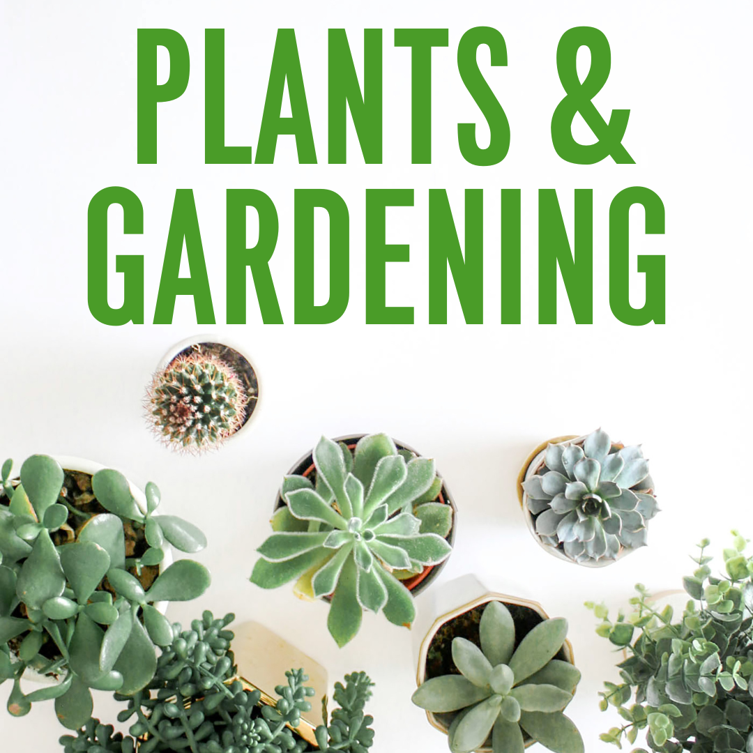 Reading Catalog 30 discount on general interst books from the