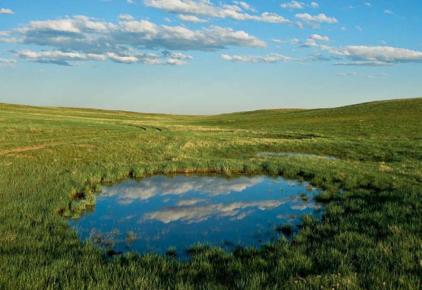 Great Plains: America's Lingering Wild, Forsberg, Kooser, Wishart