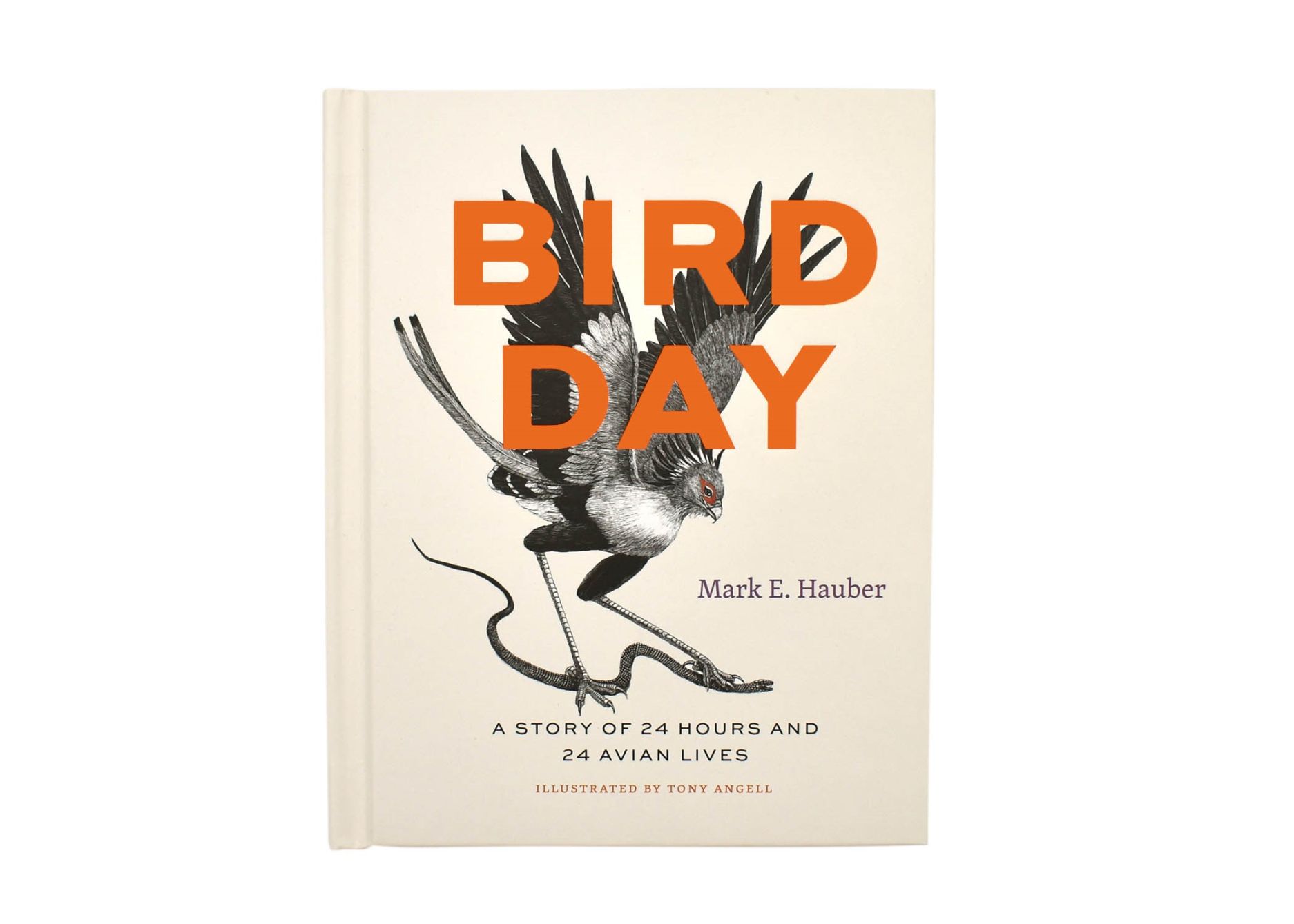 Book Review: The Bird - WSJ