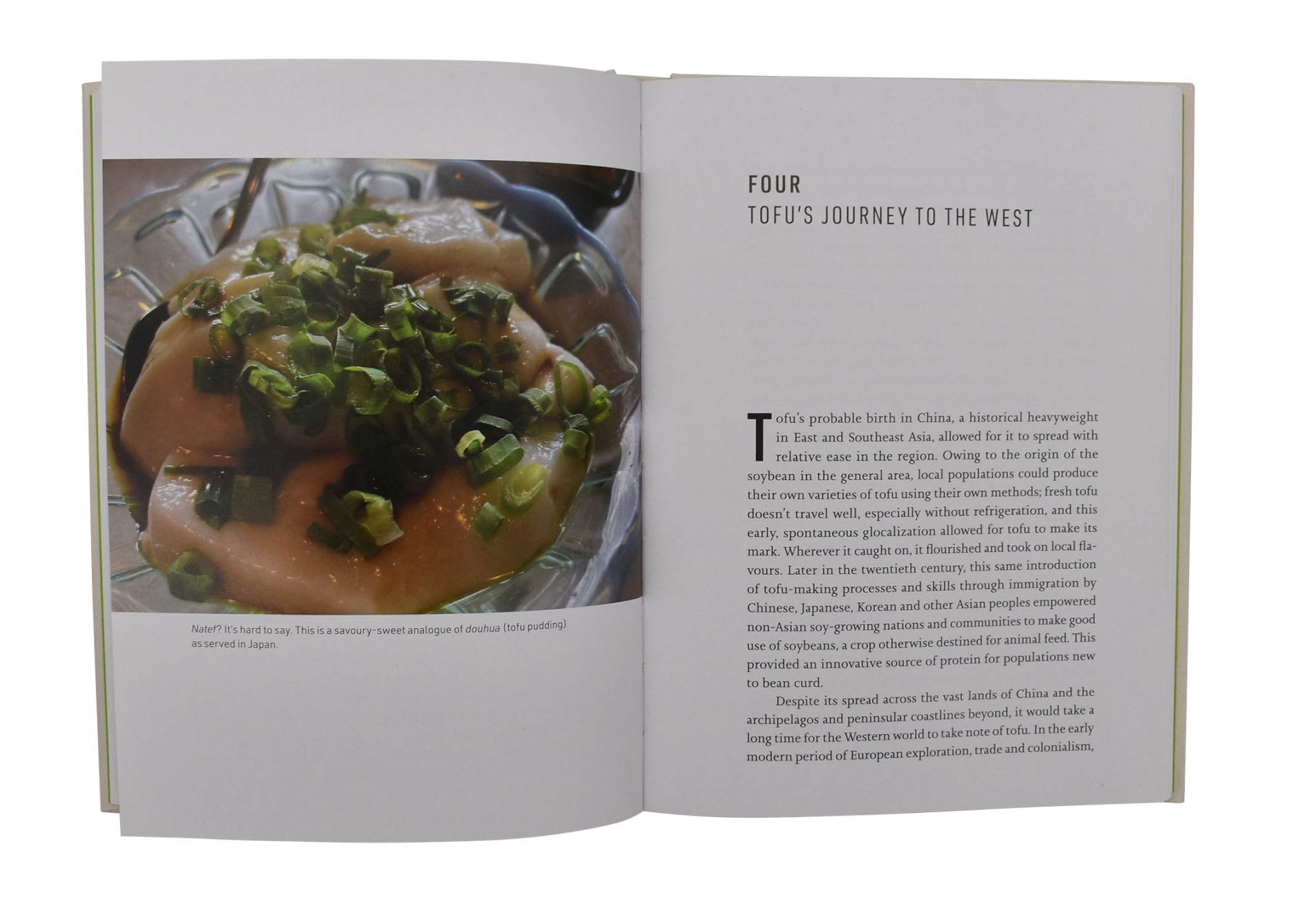 Tofu 02 - click to open lightbox Tofu 02 - click to open lightbox