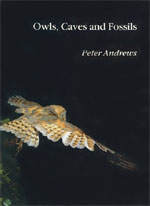 Owls Caves And Fossils Predation Preservation And