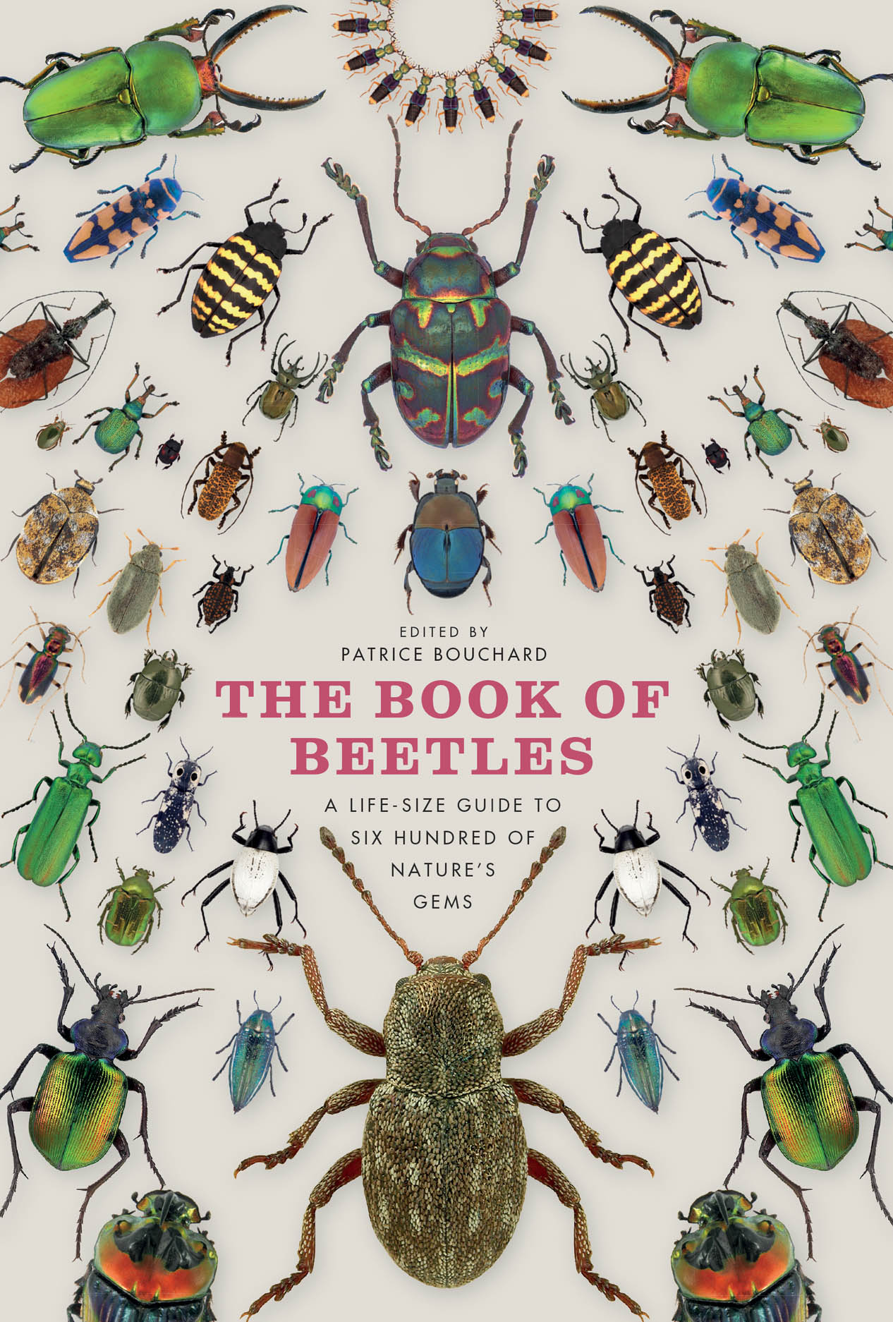 The Book of Beetles: A Life-Size Guide to Six Hundred of Nature's Gems,  Bouchard