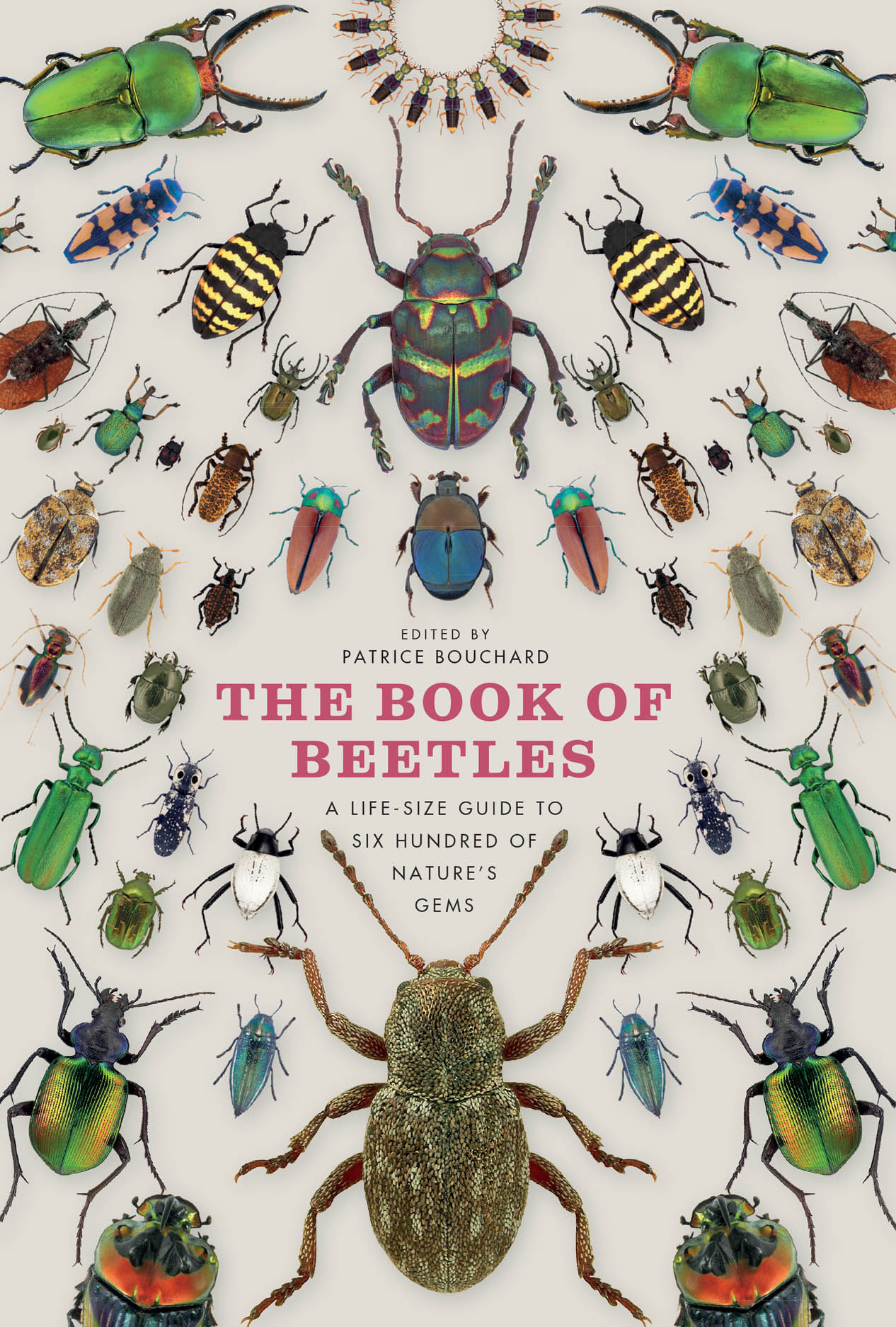 The Book of Beetles: A Life-Size Guide to Six Hundred of Nature's