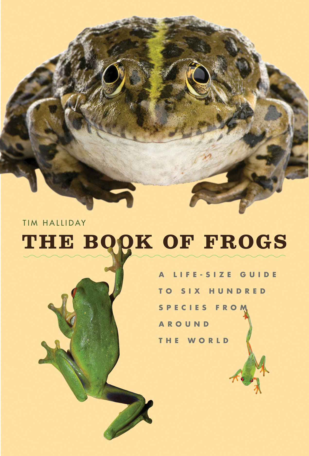The Book of Frogs: A Life-Size Guide to Six Hundred Species from around the World, Halliday