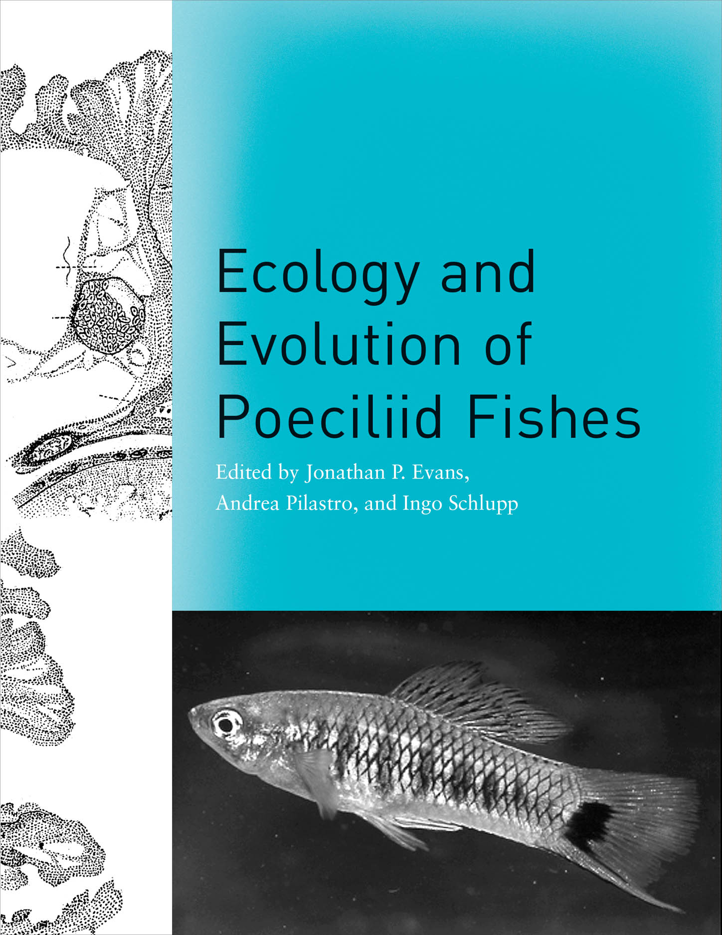 Ecology and Evolution of Poeciliid Fishes, Evans, Pilastro, Schlupp