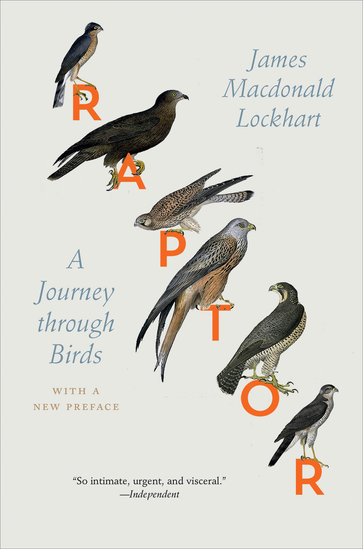 A Guide to British Birds of Prey