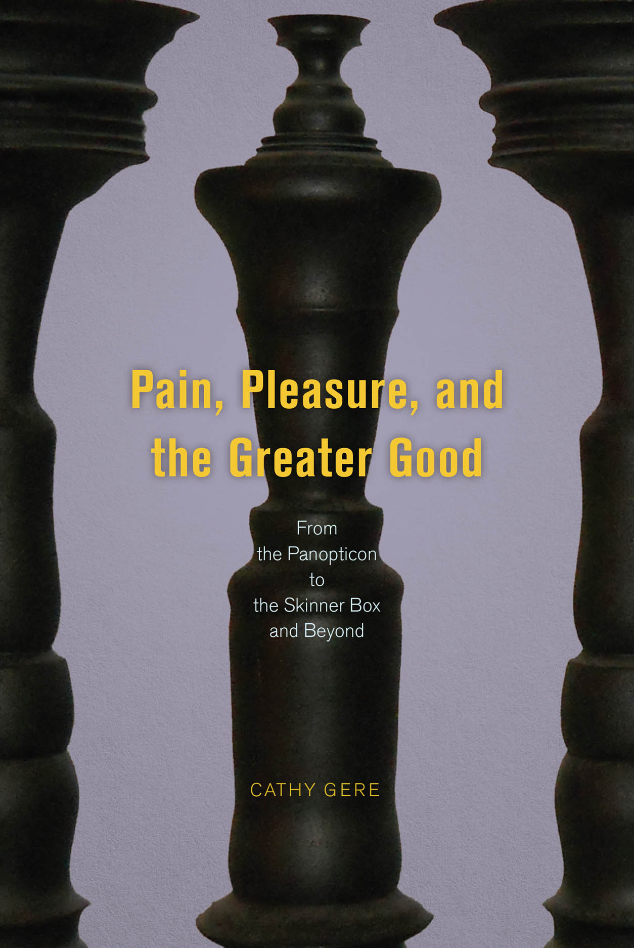 Pain, Pleasure, and the Greater Good: From the Panopticon to the