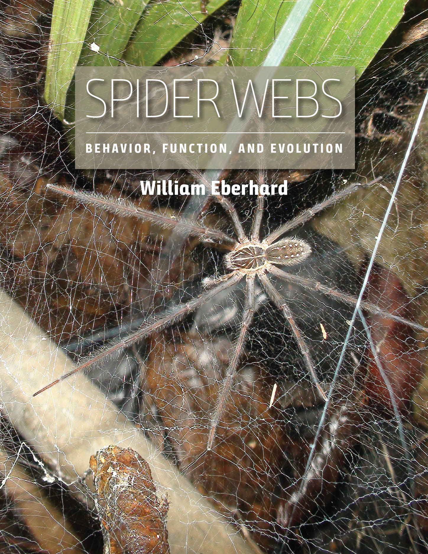 Spider Webs: Behavior, Function, and Evolution, Eberhard