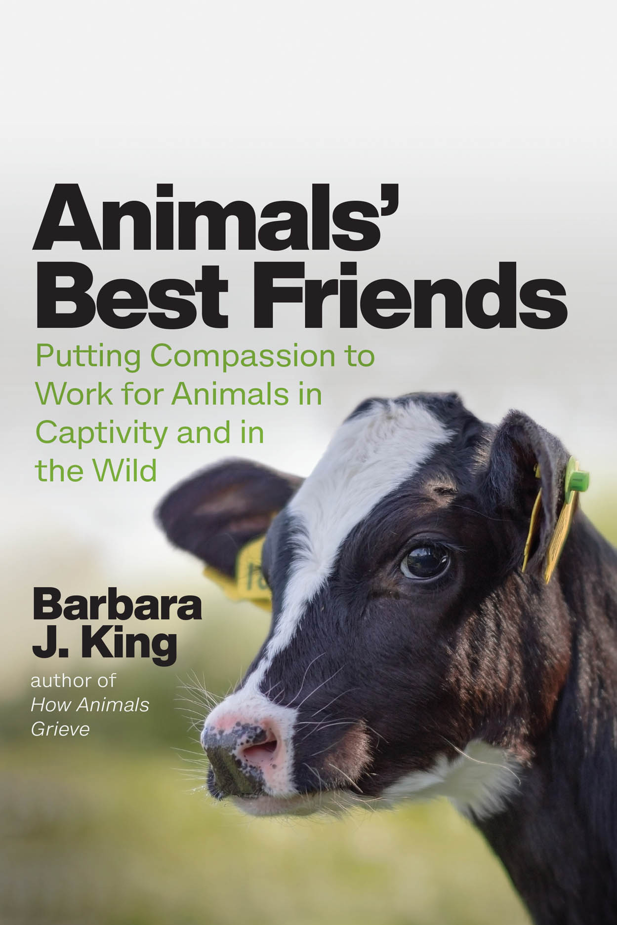 Animals’ Best Friends Putting Compassion to Work for Animals in