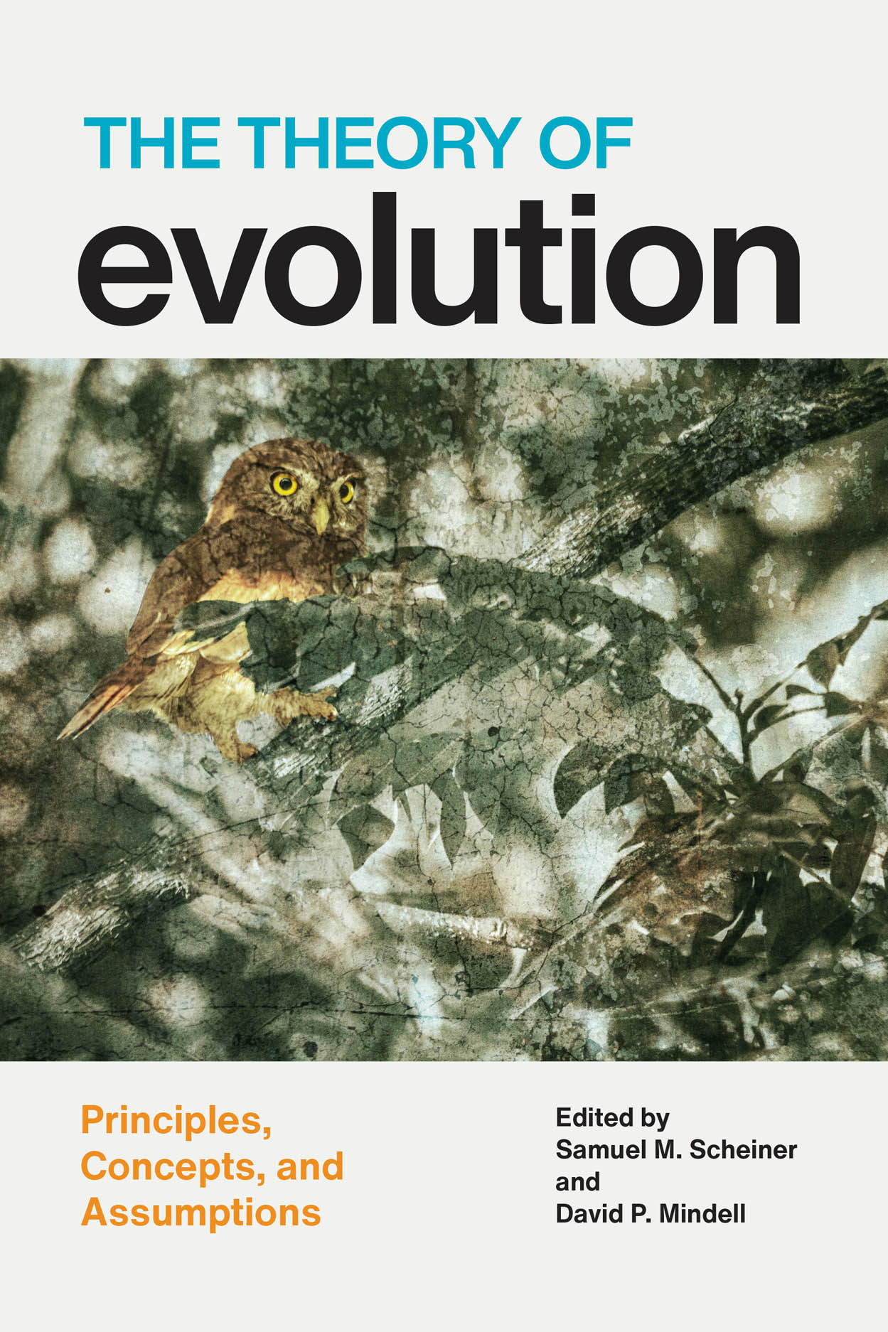 research paper about evolution theory