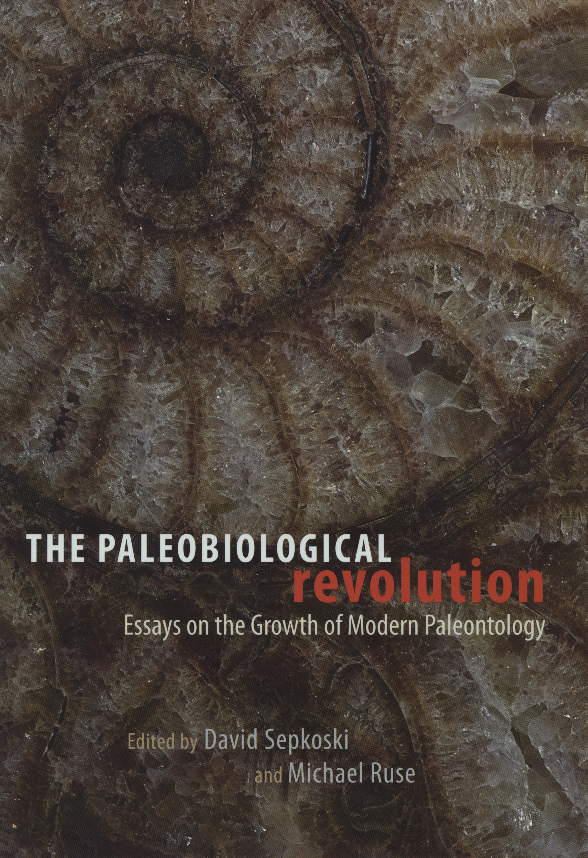 Revolutionary Fossils, Ancient Biomolecules, and Reflections in Ethics and  Decolonization: Paleoanthropology in 2019 - Schroeder - 2020 - American  Anthropologist - Wiley Online Library