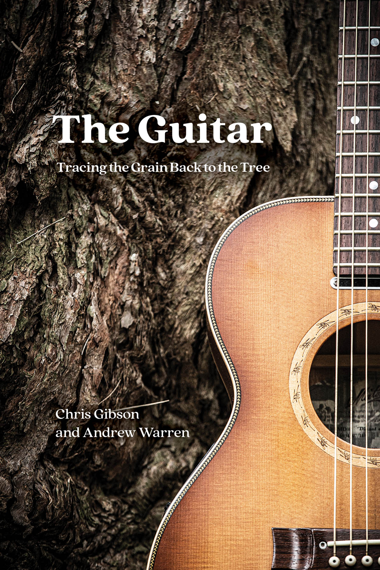 The Guitar: Tracing the Grain Back toThe Guitar: Tracing the Grain Back to  