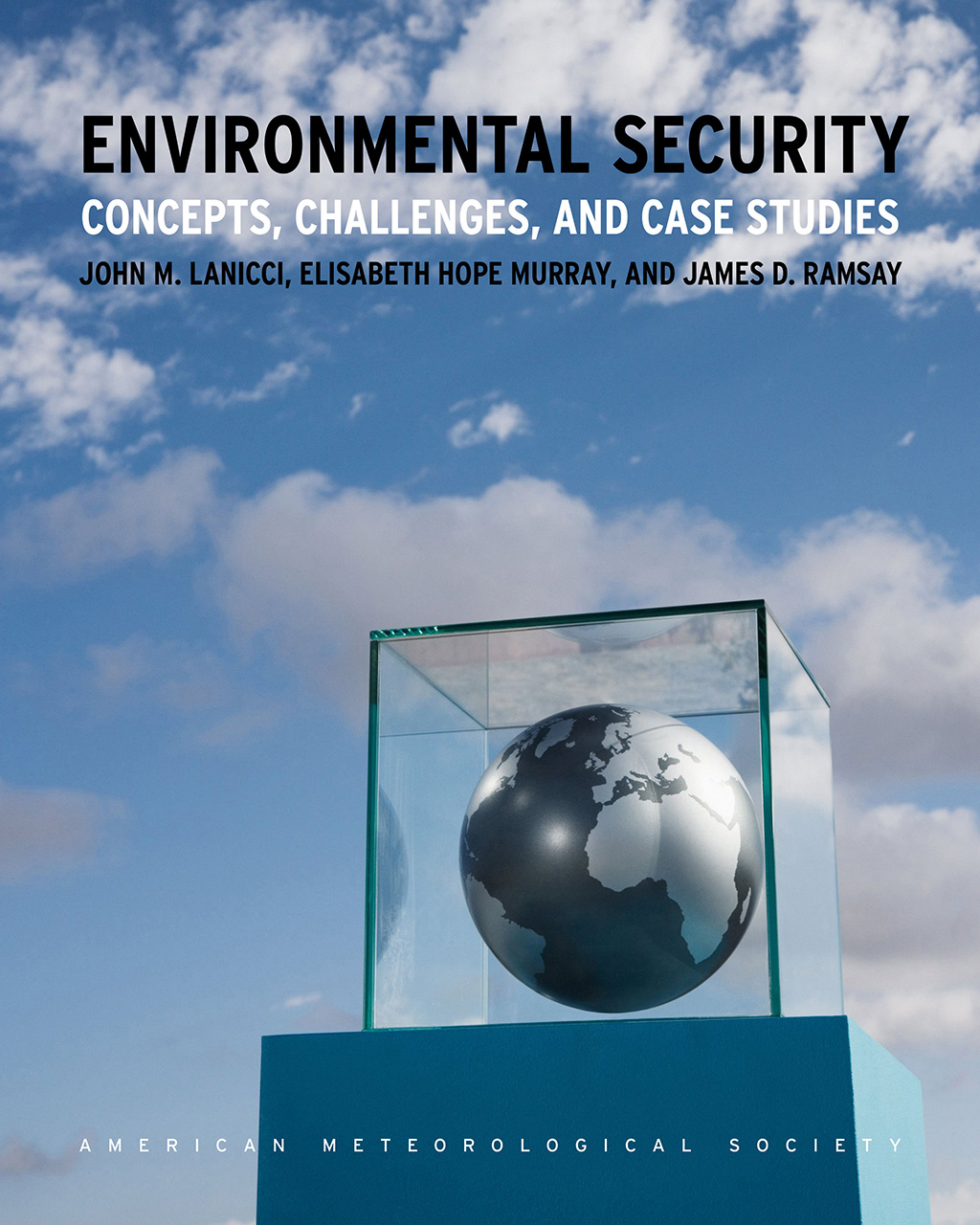 case study on environmental security