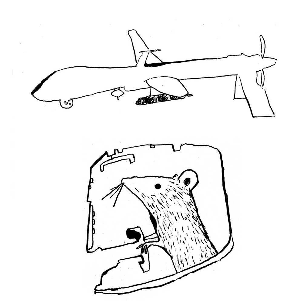 Drone-Mouse-Pilot